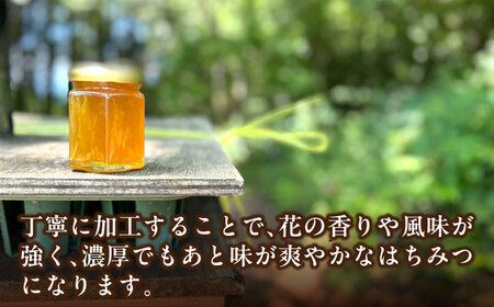 恵那蜂蜜 2本セット (蓮華蜂蜜300g×1本、百花蜂蜜180g×1本) / 恵那市 / はち工房こうけつ [AUDF002]