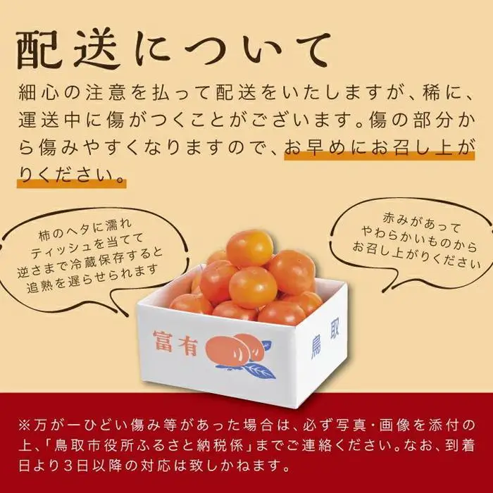 富有柿 5kg箱 (L～2Lサイズ)