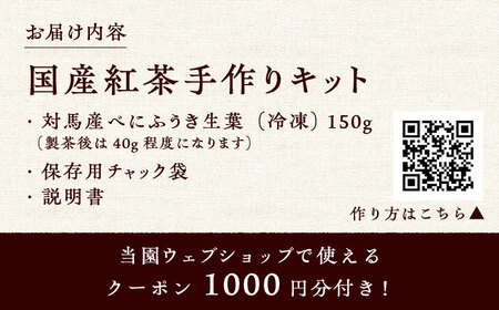 おうちで 紅茶 づくり 体験キット（Webショップで使えるクーポン付） 国産 ティー  [WBE010]