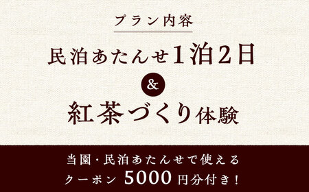 紅茶 づくり 体験 と 民泊 あたんせ 宿泊 プラン（クーポン付き）（2名様まで）ティー  [WBE011]