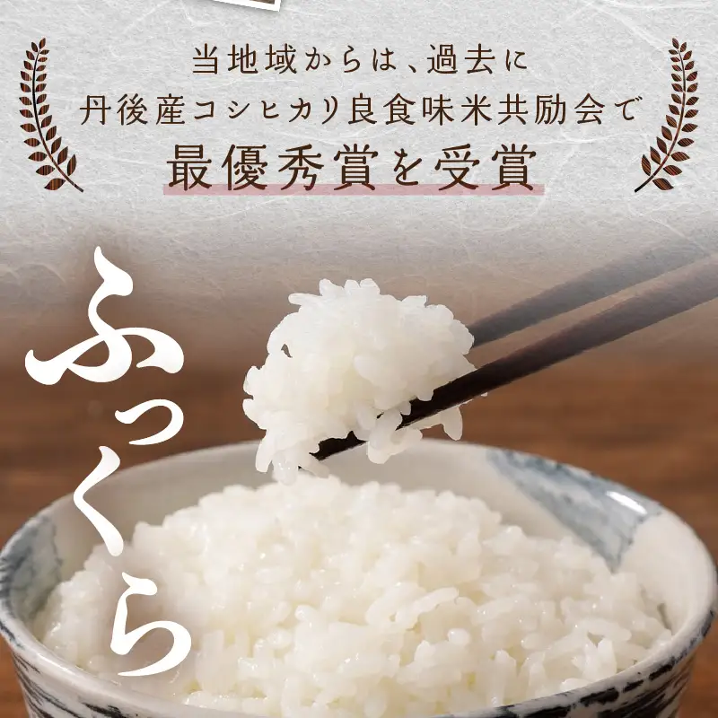 【令和8年】コシヒカリ 精米 5kg コシヒカリ 京丹後市