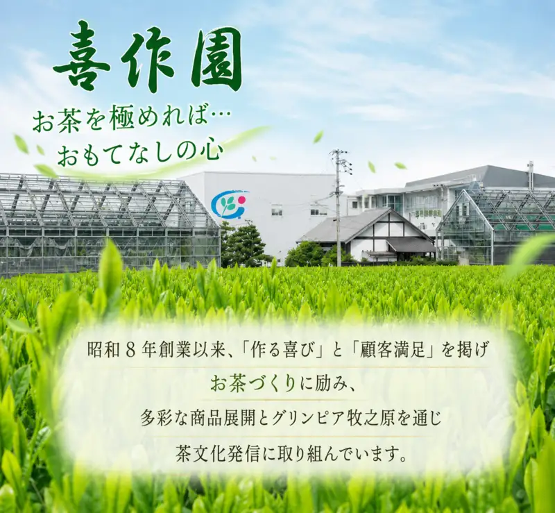 【 お茶チョコ と フレーバーティー の セット 】 チョコレート 無香料 紅茶 喜作園 静岡県 牧之原市