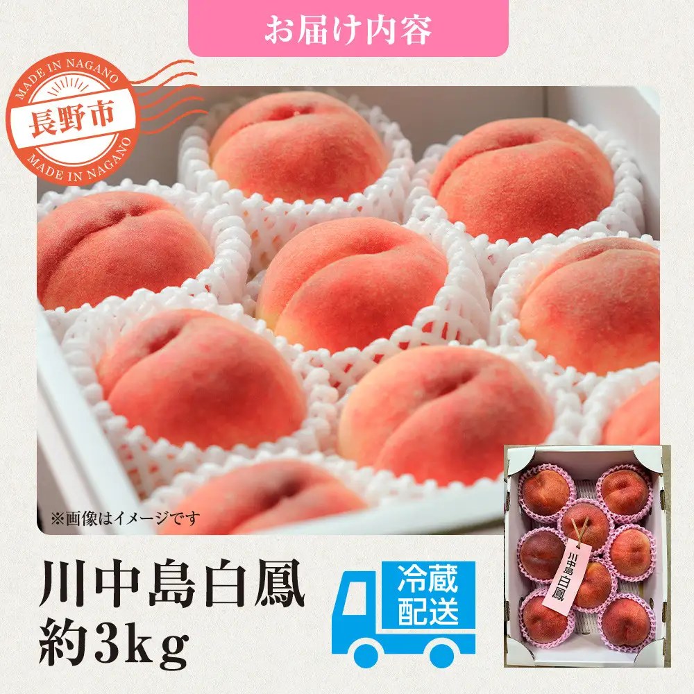 前島農家 川中島白鳳約3kg（8個～12個） | 桃 フルーツ 旬 桃