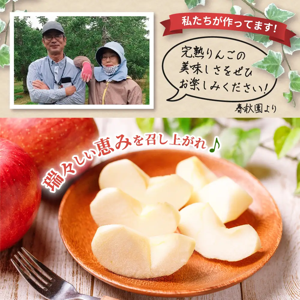  りんご サンつがる約5kg【2026年9月上旬発送】春秋園 青森 訳ありりんご早生