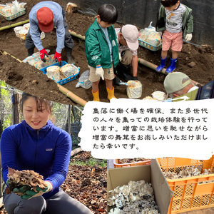 【令和8年産先行予約】 増富天空の舞茸　原木まいたけ　約450g  [h192]