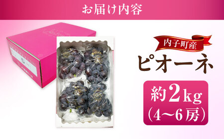 【先行予約】ピオーネ ムジ 4-6房 2kg BKAY011 ぶどう
