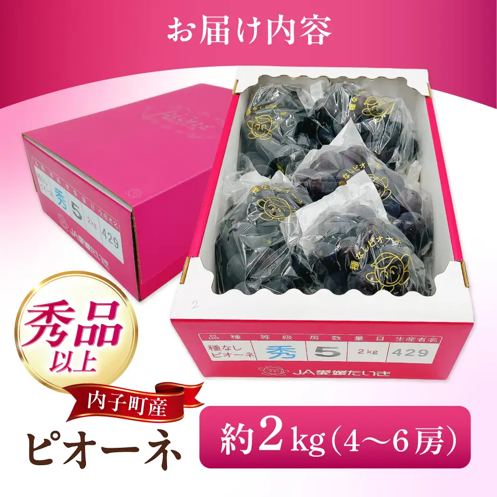 【先行予約】ピオーネ 秀品 4-6房 2kg BKAY010 ぶどう