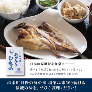 干物 訳あり25点以上 干物 おざきのひもの 【ozk102-1】