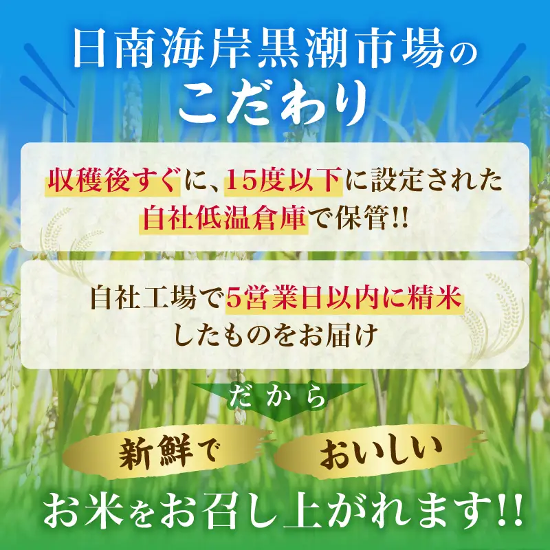 令和8年産 新米 コシヒカリ 計10kg_D131-26