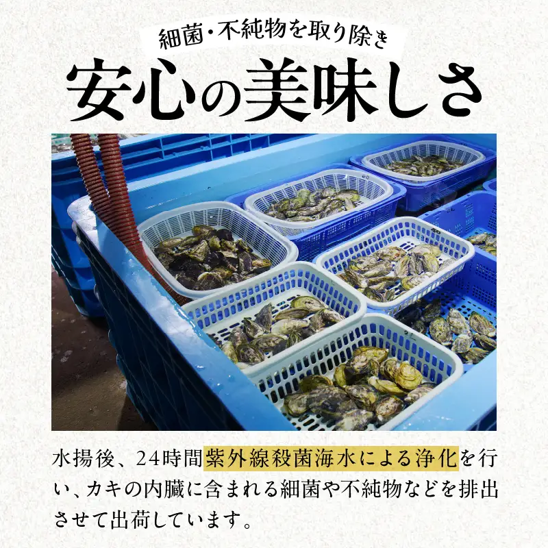 数量限定 宮崎県産 ブランド 牡蠣 ひとしおオイスター 計20個 魚介 魚貝 かき 生食用 殻付き 国産 おかず おつまみ 食品 海鮮 海産物 シーフード BBQ バーベキュー アウトドア グランピング 海の幸 養殖 絶品 贅沢 ご褒美 お取り寄せ グルメ 日南市 送料無料_CB81-23