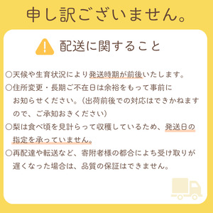 【贈答用】果汁たっぷりの極上梨「あきづき・3kg」（2026年産）　果汁たっぷり　船橋産　9月上中旬発送　期間限定　梨　夏　6～9玉　なし　水菓子　果物　デザート
