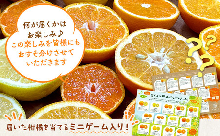 旬の柑橘食べ比べ 柑橘ごろごろ 3種 箱込 7.5kg(内容量約 6.8kg) 秀品 優品 混合 和歌山県産 産地直送【みかんの会】