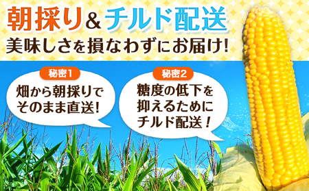 北海道産 オーガニック とうもろこし 10本 伊場ファーム 