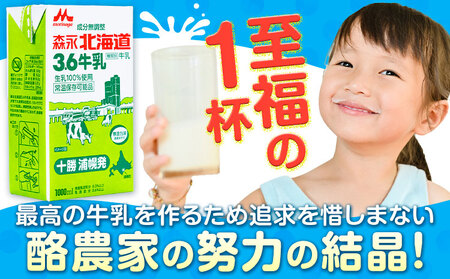  【ふるなびWEEK対象】森永北海道3.6牛乳 1000ml×12本 ロングライフ 牛乳 ミルク