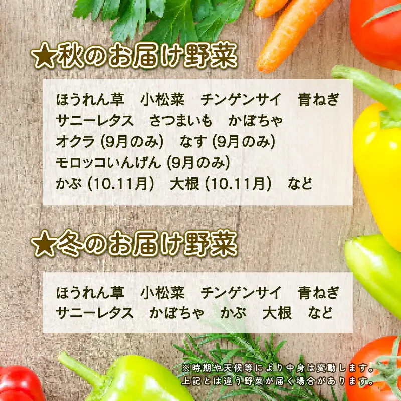 季節のおまかせ 野菜 セット はまだ農園 やさい 野菜セット 美味しい 新鮮 小分け 季節 お任せ 食べ比べ 旬野菜 旬 詰め合わせ 季節限定 季節野菜 フレッシュ yasai 農家直送 産地直送 数量限定 国産 愛媛 宇和島 F010-139001