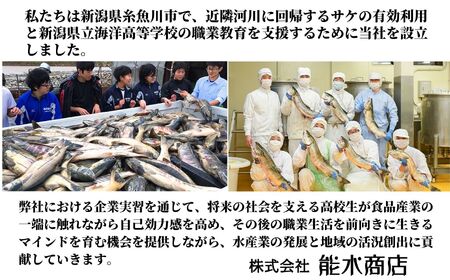 いくらの親子漬け 400g 新潟県立海洋高校開発魚醤仕込み 糸魚川