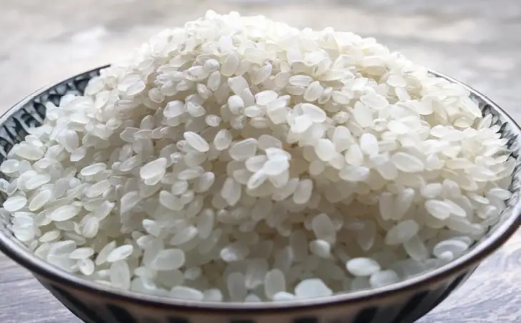【令和7年産】農薬・化学肥料不使用 白米５kｇ みどり豊(コシヒカリ)