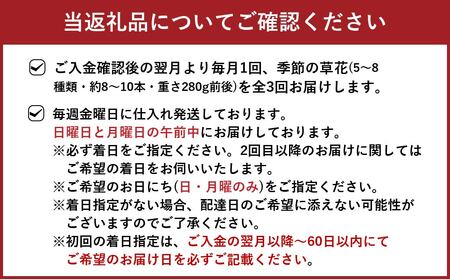 【定期便 3ヶ月】草花ノ定期便 Mサイズ 5～8種類 約8～10本