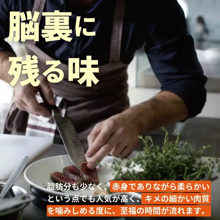 佐賀牛 ヒレステーキ 480g ヒレ フィレ 牛肉 D500-002
