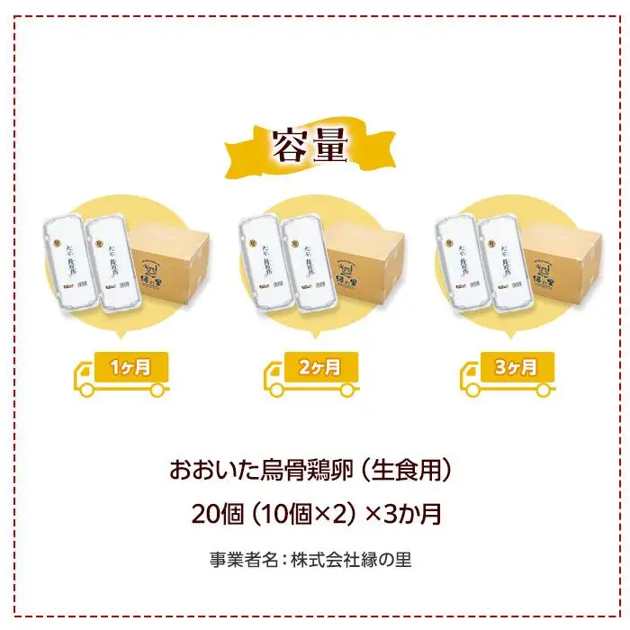 【定期便 全3回】大分うこっけい卵　生食用20個（10個×2）×3回