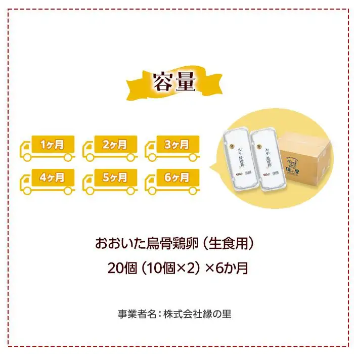 【定期便 全6回】大分うこっけい卵　生食用20個（10個×2）×6回