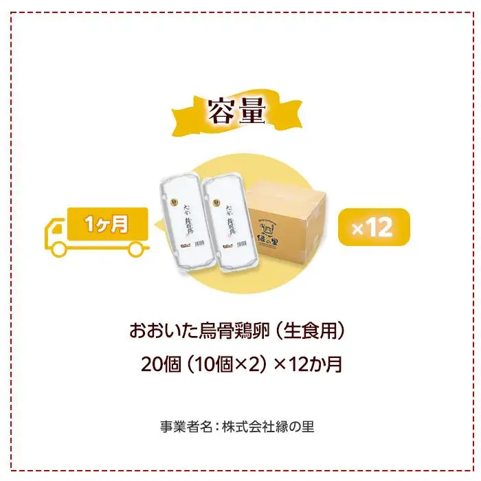 【定期便 全12回】大分うこっけい卵　生食用20個（10個×2）×12回