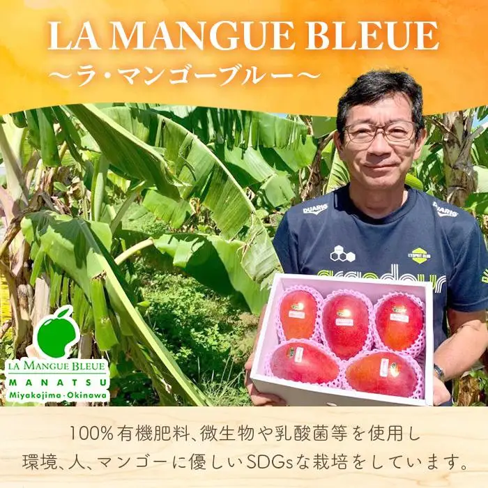 《先行予約 2027年発送》宮古島産アーウィンマンゴー 約2kg（6～9個）【ご自宅用】「LA MANGUE BLEUE」農家直送(GZ003)