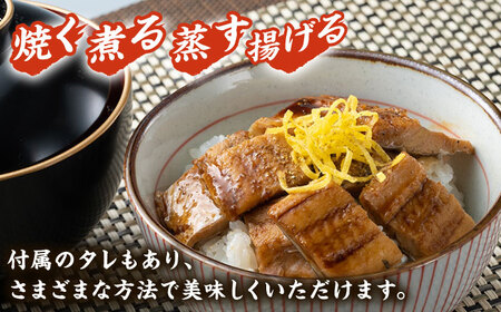 【全3回定期便】対馬産 穴子 詰め合わせ 5PAC [WAV004] 対馬 新鮮 とろ あなご 煮穴子 冷凍 海鮮 