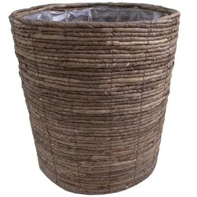 【観葉植物】パキラ 7号 ブラウンバスケット鉢カバー 高さ：約80cm～1m内外(鉢底より)【観葉植物 インテリア 部屋 おしゃれ 福岡県 筑前町 送料無料 AG005】【価格改定】