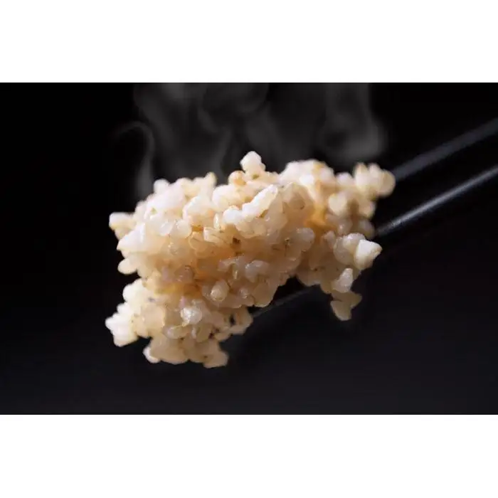 【令和7年】【玄米】自然農法/化学肥料不使用の南魚沼産こしひかり10kg| こしひかり
