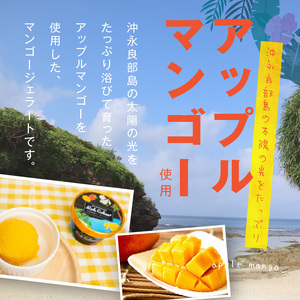 沖永良部島リッチジェラート(マンゴー味)10個セット W009-082u 冷凍 スイーツ