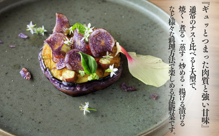 【期間限定】先行予約 特選 丸なす！『越の丸茄子』9玉入り 特級Aクラス 1箱 JA ナス 2026年7月中旬から順次発送【新潟県 糸魚川市 期間限定 ブランド野菜 夏 ステーキ 煮物 まるなす マルナス 野菜 特産品 産地直送 新潟限定 ブランドなす】
