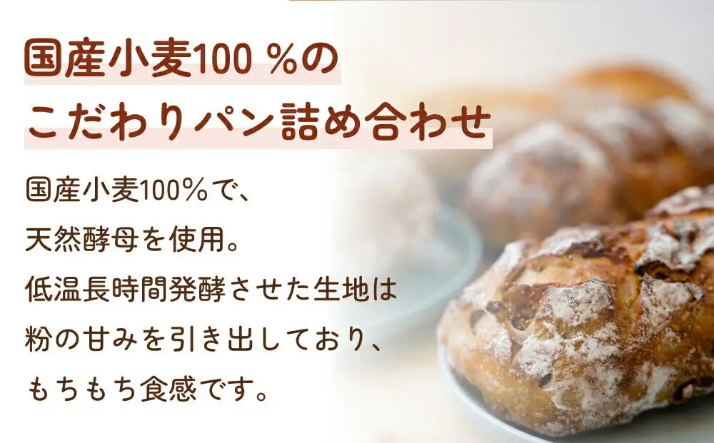 国産小麦のハード系パンセット 2ヶ月定期便 ぱんやこてつ