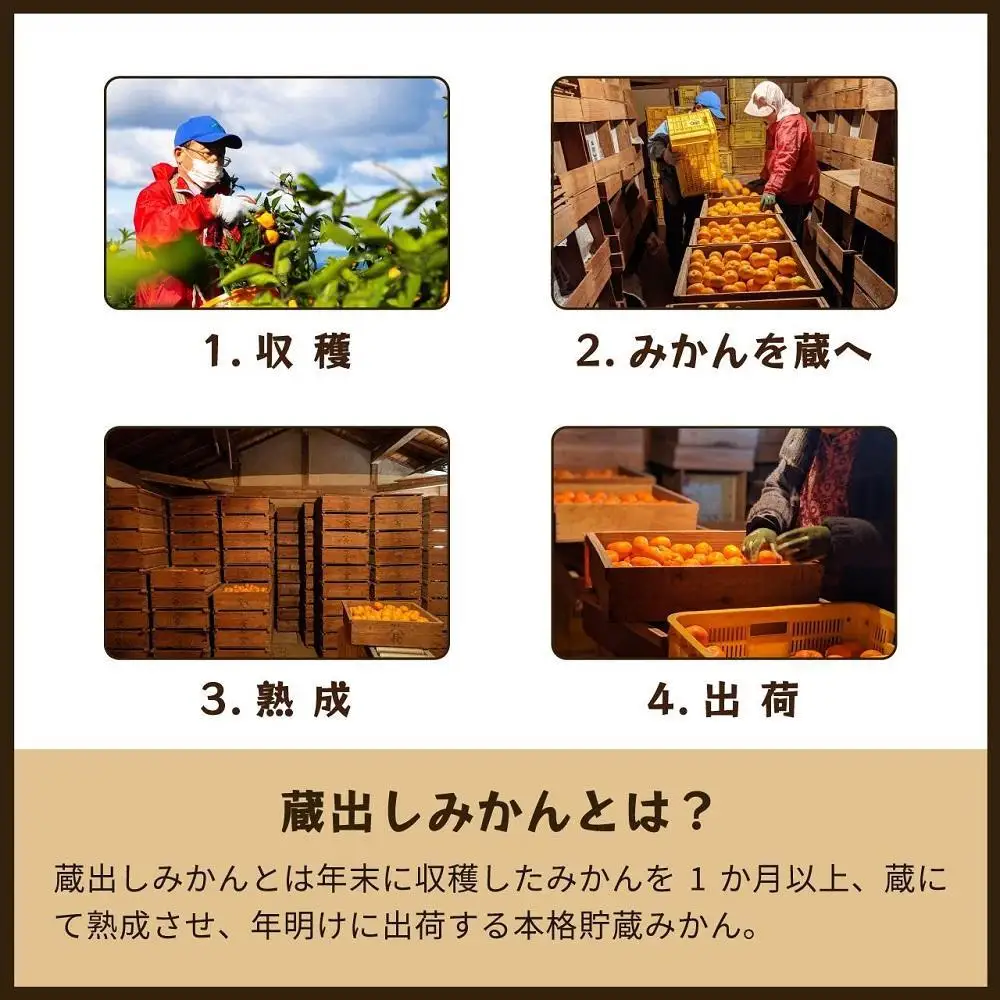 【定期便全3回】蔵出しみかんジュース｜和歌山県海南市下津町産の高級100%ストレートジュース