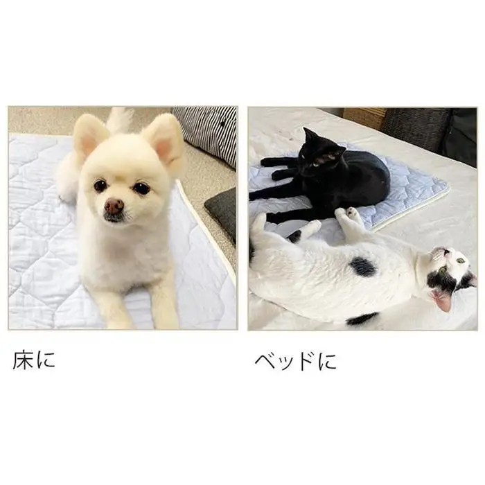 【M 65×50cm】2枚組コットン100%ペット用マット PET-6550-2P