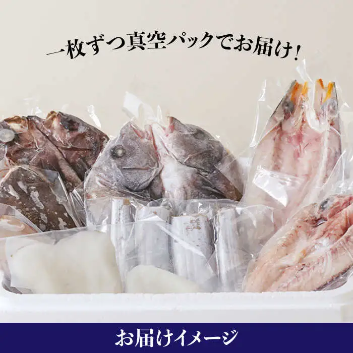 【職人の技】旬の干物 詰め合わせ 3-4種（6-8パック）×2セット / 魚 干物 干もの セット  / 南島原市 / ながいけ [SCH049]