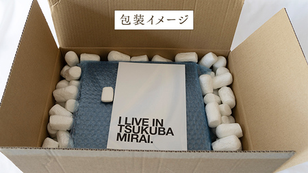【 お歳暮 熨斗付 】赤いちごと白いちごの宝石箱 18粒【12月から発送開始】（茨城県共通返礼品 [いちご]：城里町産）