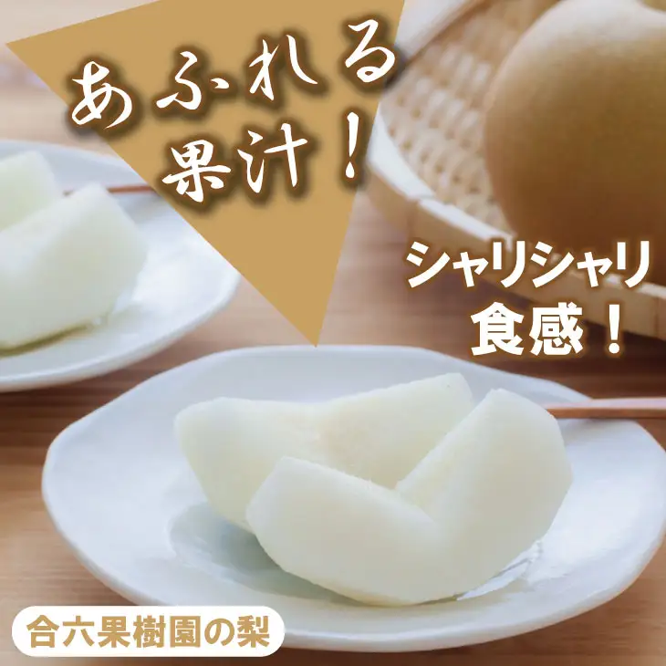 【先行予約】あきづき「秋月」 梨 5kg 親子三世代 農家 合六果樹園 梨 果物 フルーツ B140-017 