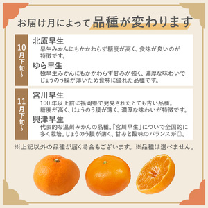 むなかた温州みかん 3kg 【2026年10月下旬～12月発送】【JAほたるの里】_HA1346