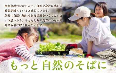 農園直送！しっかり辛くて香り高い国産一味唐辛子15g × 3本 [e62-a011]