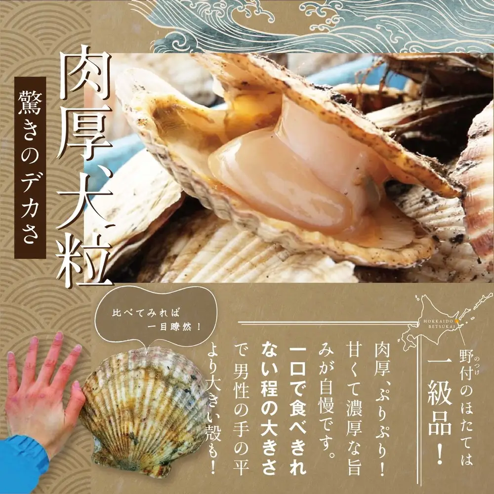 毎月4ヶ月定期便 北海道 野付産 ホタテ 特大ホタテ500g 北海道