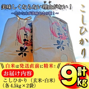 【米の匠】川崎さん自慢のコシヒカリ＜白米＆玄米＞ 計9kg(各4.5kg×2袋) b2-036-R6-3w