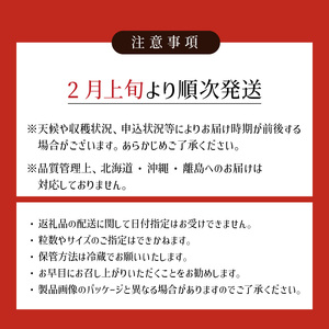 【2027年2月より順次発送】農家直送 朝採り新鮮いちご 【博多あまおう】約270g×2パック_ 〔Fi062〕