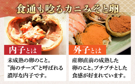 【先行予約】【数量・期間限定】福井県産 越前コッペガニ（セイコガニ）×2杯【急速冷凍】（プロトン凍結）【11月下旬より発送】