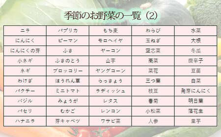 国産『季節の野菜詰め合わせセットA』15種類以上の新鮮な野菜をお届け！ TF0668-P00055