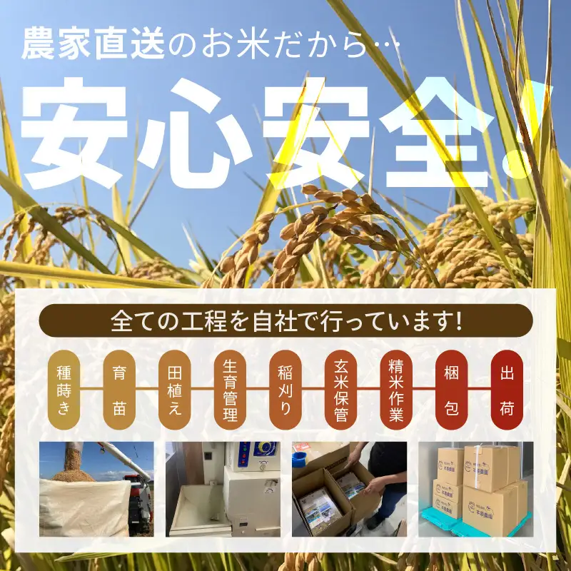 【先行予約】【令和8年産・新米】【白米 5kg】 コシヒカリ 5kg 【2026年10月上旬以降順次発送】[A-8934_01]