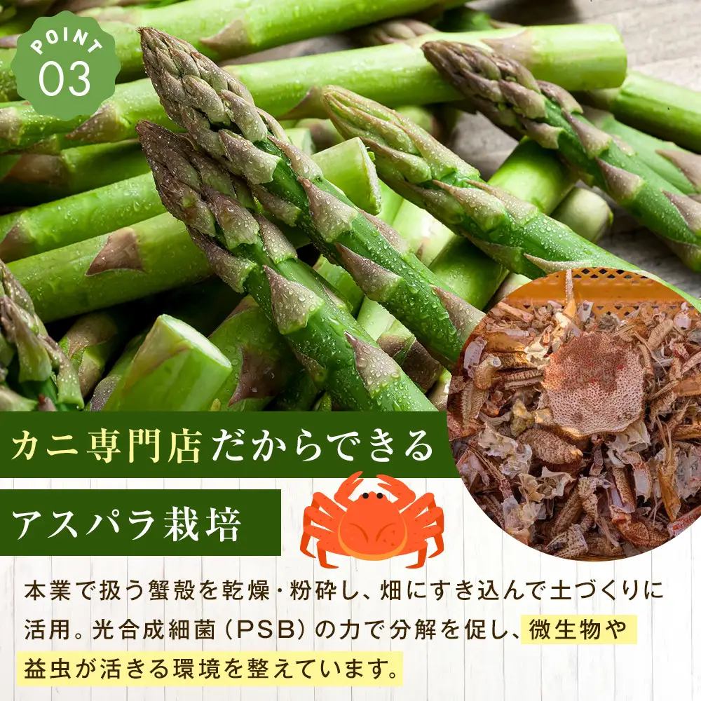 高評価★4.8【2027年先行予約】露地物朝採りアスパラ 2L～3Lサイズ800g（400g×2）鮮度保持フィルム入り（5月中旬発送開始予定）| アスパラ 北海道 _01593