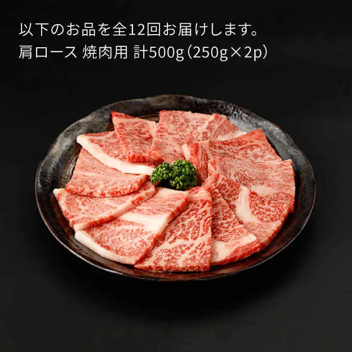 【定期便】牛肉 肩ロース 焼肉用 計500g NAC154 牛肉 全12回