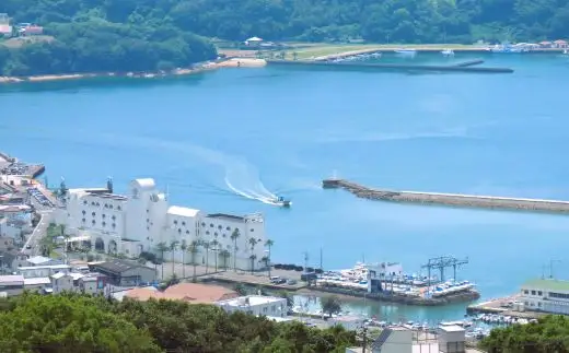 あみえび 素干し 岡山県産 300g 大容量