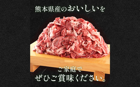 熊本県産 GI認証取得 くまもとあか牛 切り落とし 計1kg （500g×2パック） 肉 牛肉 和牛 あか牛 冷凍 熊本県 高森町